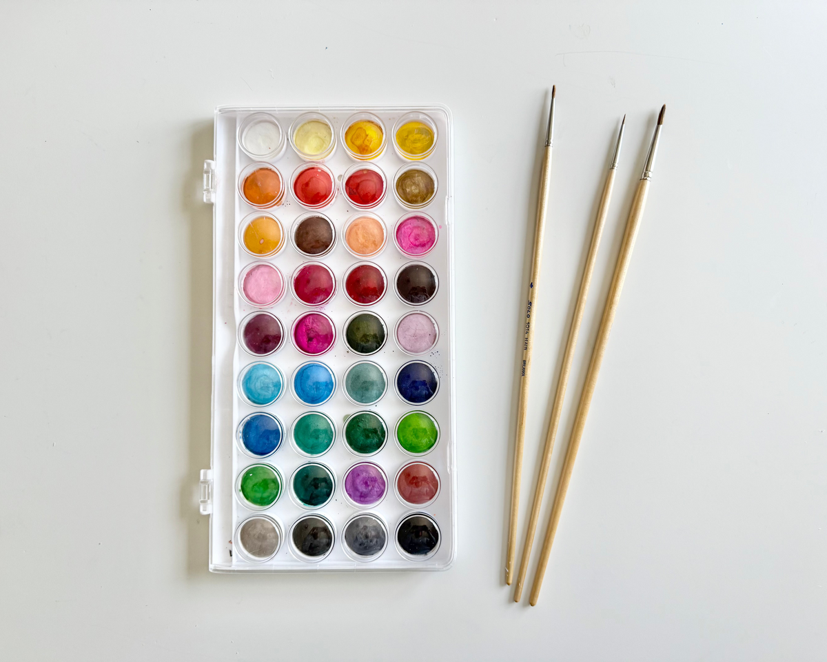 Watercolor Brush & Paint Bundle