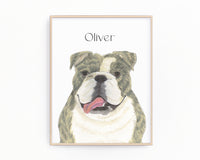Personalized English Bulldog (Brindle) Fine Art Prints