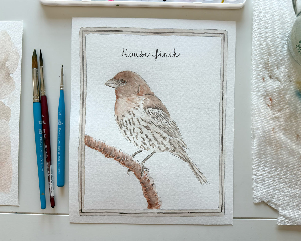 Illustration of a house finch on a branch with art supplies in the background