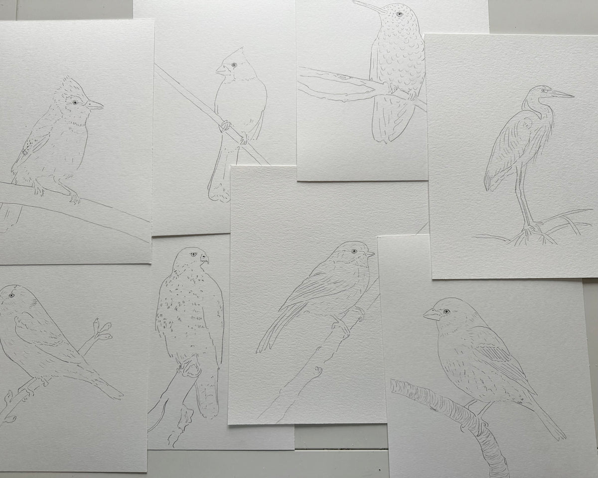 Watercolor Birds Private Party
