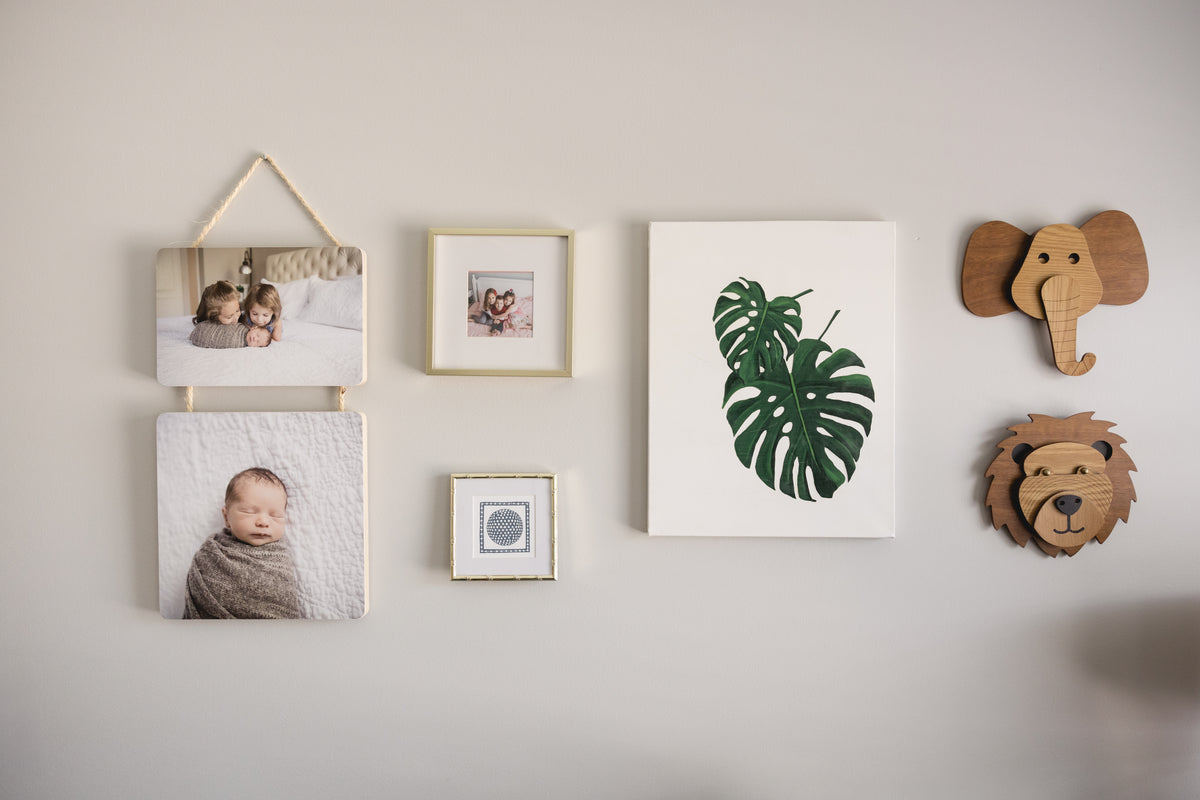 Wall with framed photos and decorative animal heads