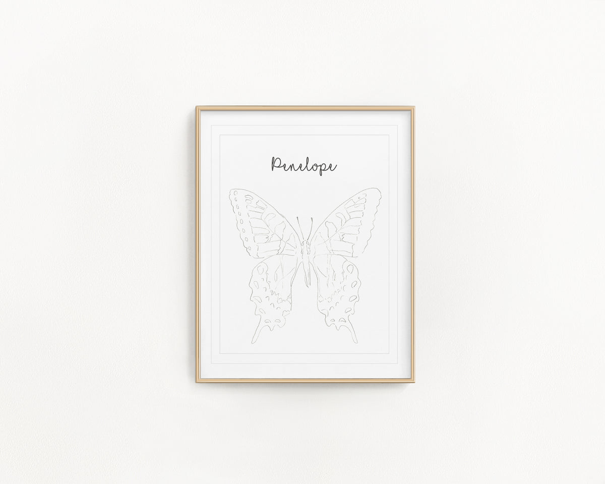 Framed butterfly illustration with 'Penelope' text on a white background