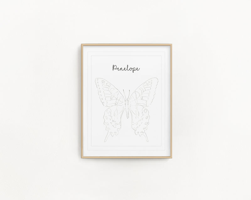 Framed butterfly illustration with 'Penelope' text on a white background