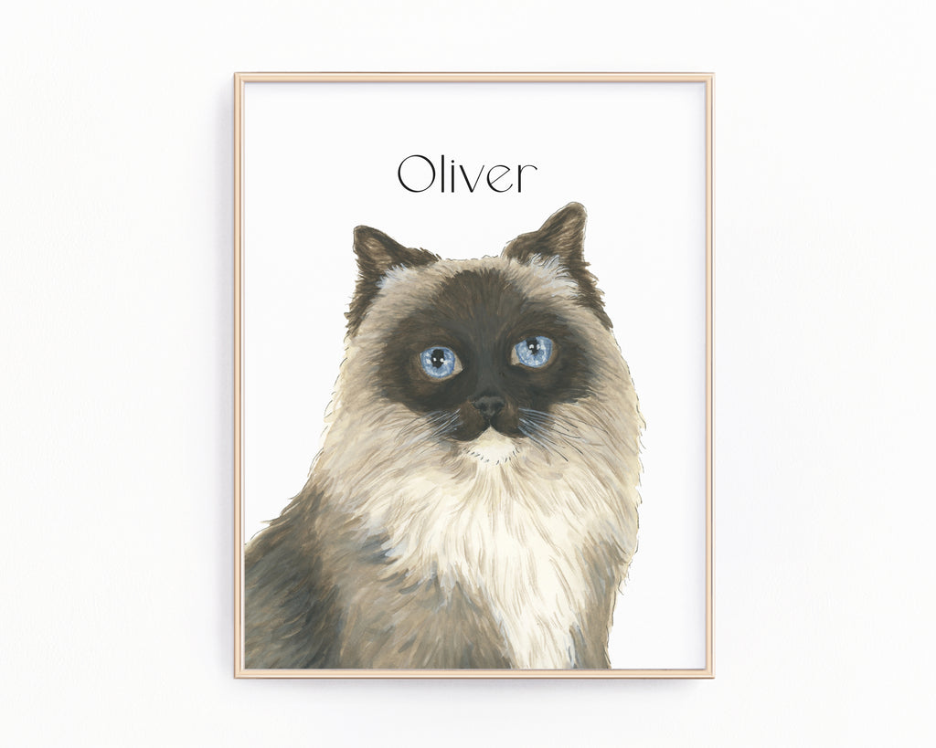 Personalized Ragdoll Domestic Medium Hair Cat Fine Art Prints