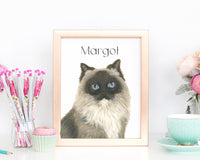 Personalized Ragdoll Domestic Medium Hair Cat Fine Art Prints