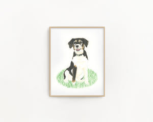 Custom Pet Painting (Classic Style)