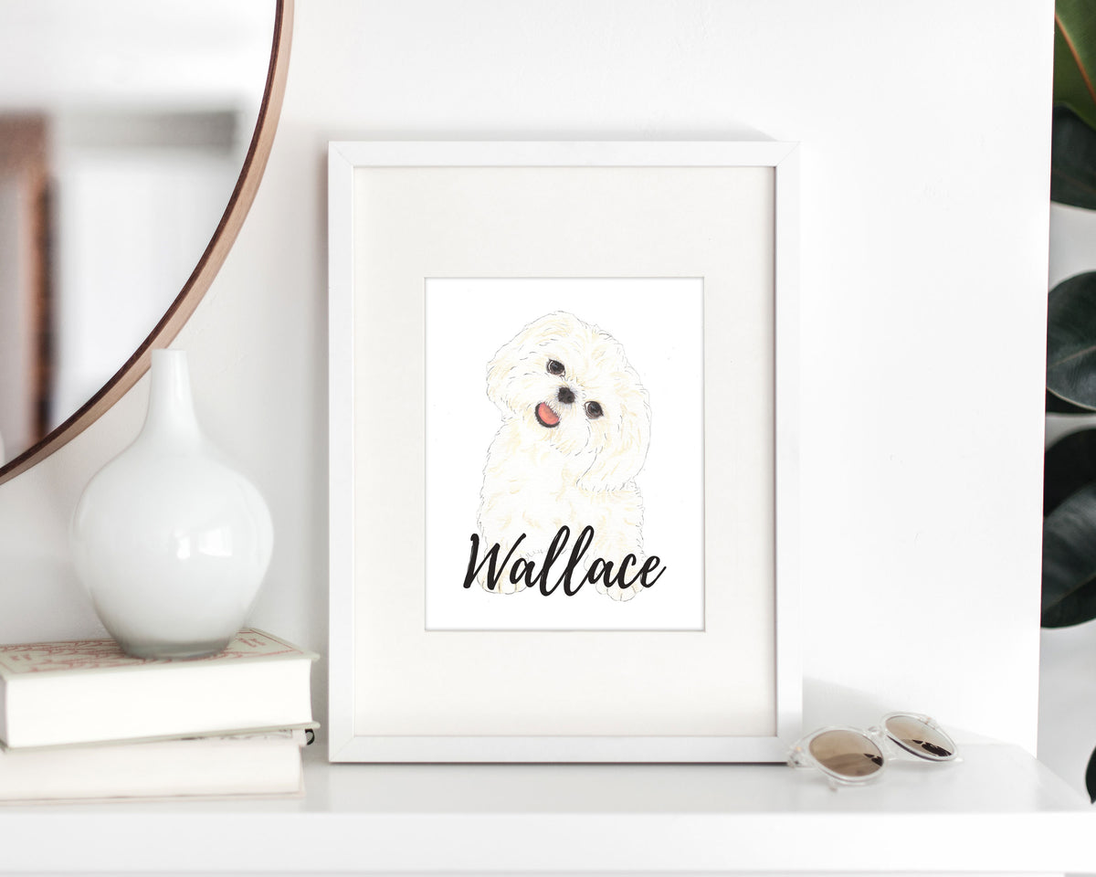 Shih Tzu Fine Art Prints