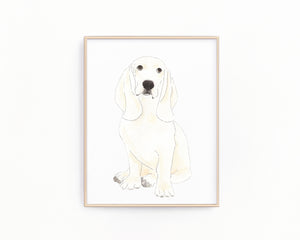 Personalized Basset Hound Fine Art Prints