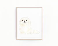 Personalized Pekingese Fine Art Prints