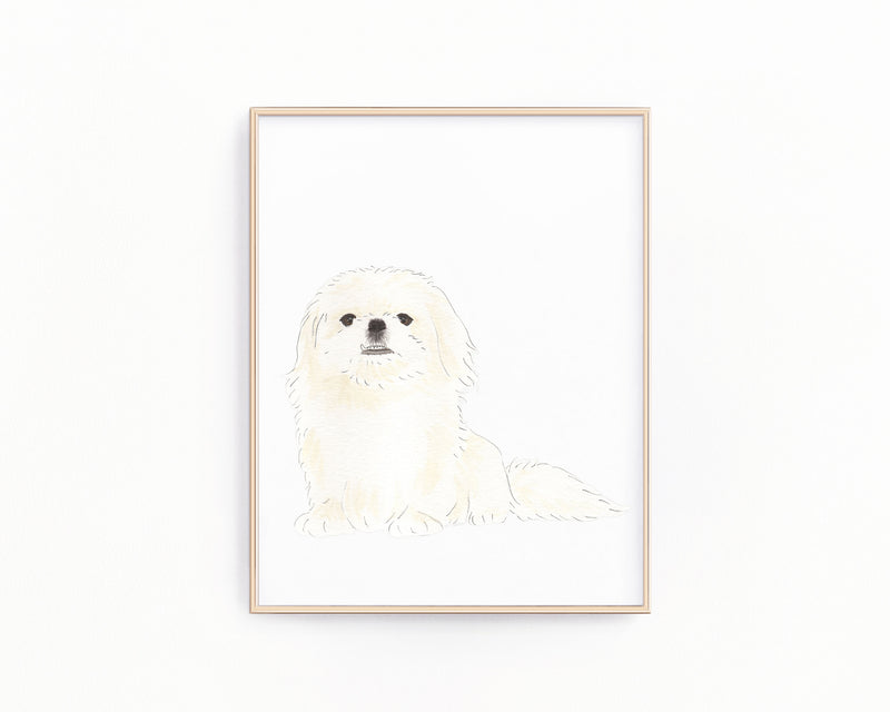 Personalized Pekingese Fine Art Prints