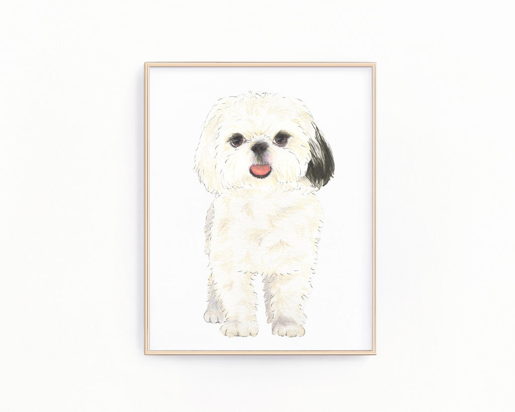Personalized Shih Tzu (Black & White) Fine Art Prints