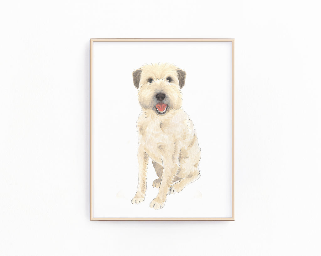 Personalized Wheaten Terrier (Summer Cut) Fine Art Prints