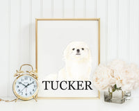 Personalized Pekingese Fine Art Prints