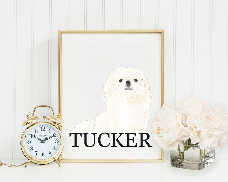Personalized Pekingese Fine Art Prints