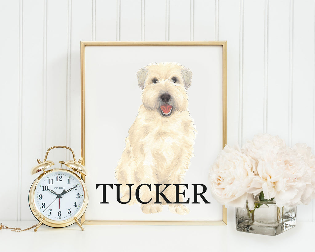 Personalized Wheaten Terrier (Summer Cut) Fine Art Prints