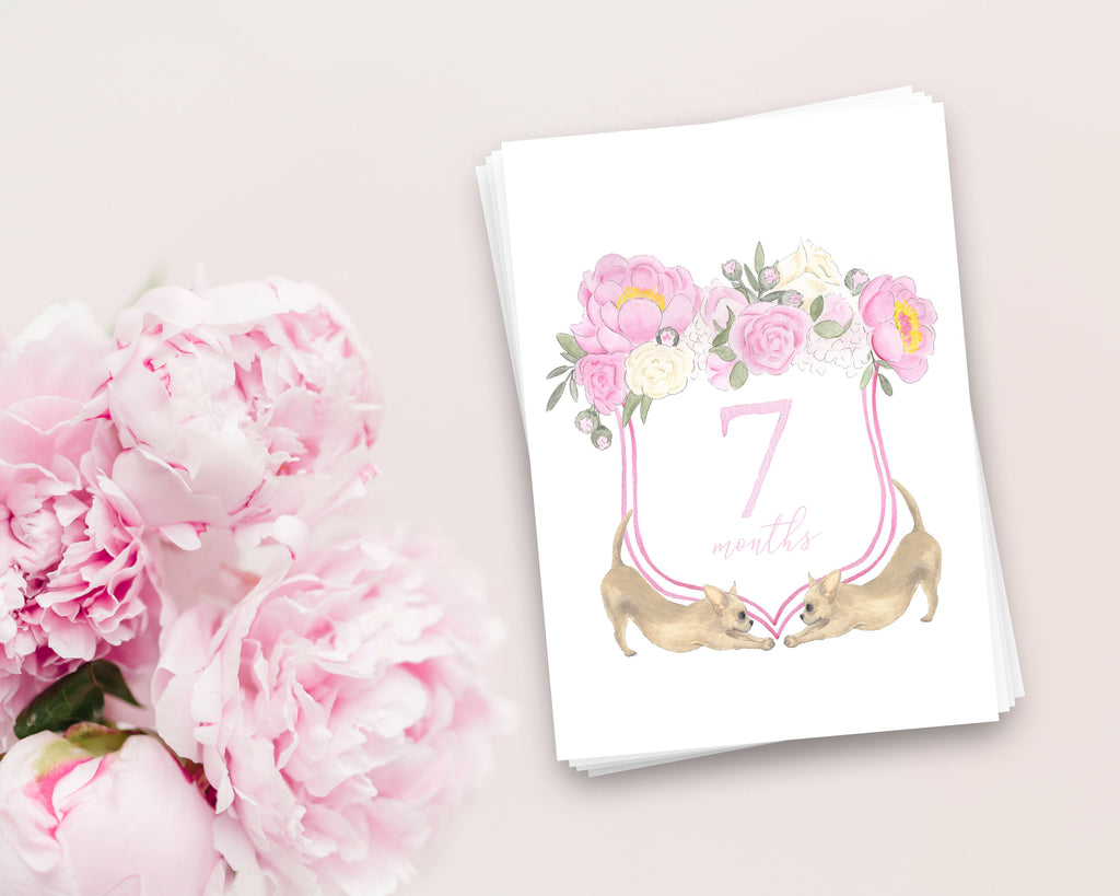 Chihuahua Floral Crest Milestone Cards