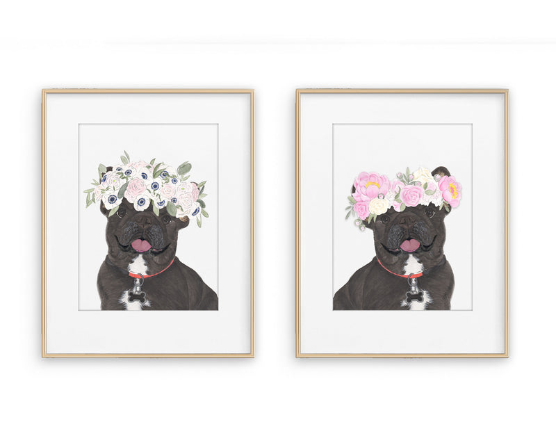 Black & Tan Tricolor Frenchies in Flowers Prints