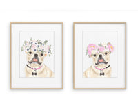 Frenchies (Fawn / Cream) in Flowers Prints