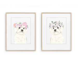 White Floofs in Flowers Prints