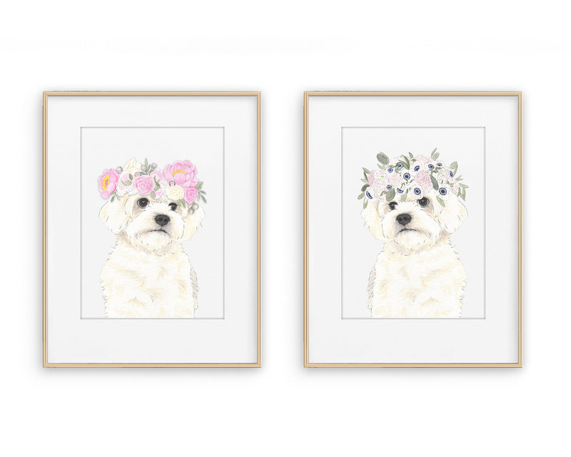 White Floofs in Flowers Prints