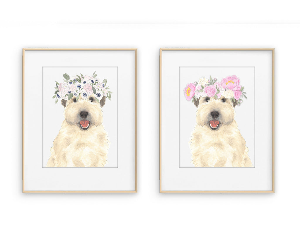 Wheatens in Flowers Prints