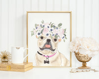 Frenchies (Fawn / Cream) in Flowers Prints