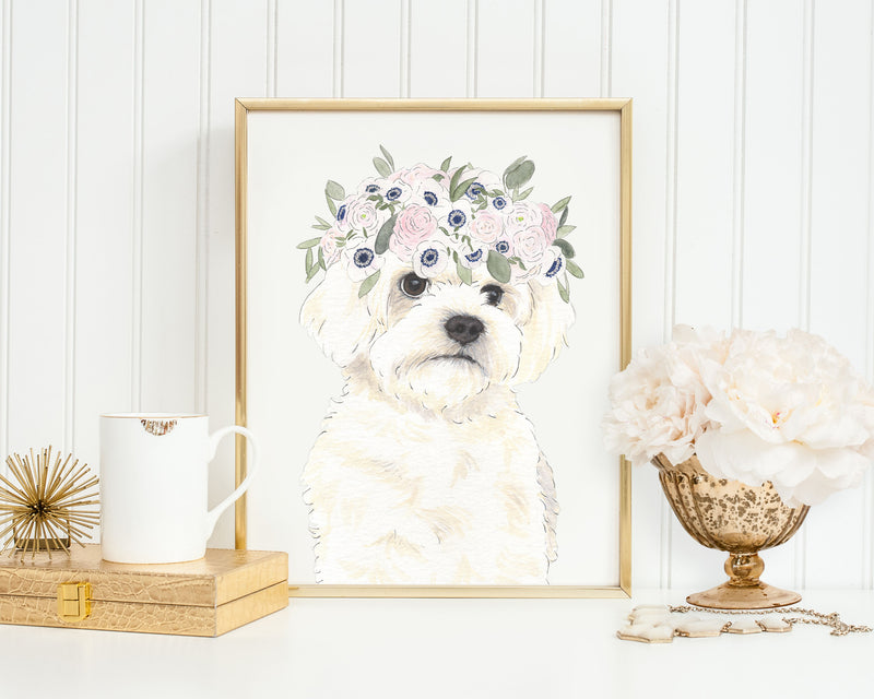White Floofs in Flowers Prints