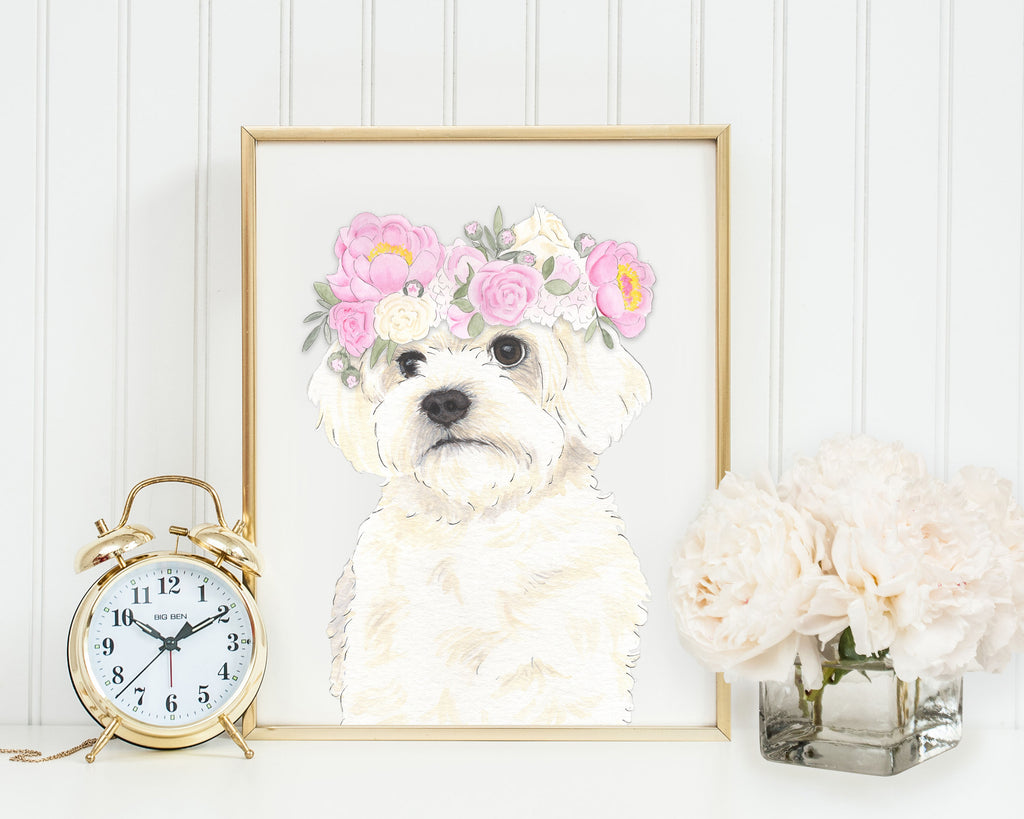 White Floofs in Flowers Prints