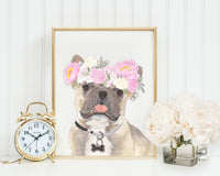 Blue Fawn Tricolor Frenchies in Flowers Prints