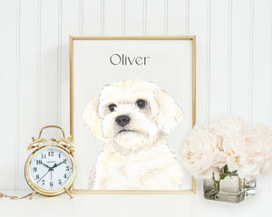 Personalized Maltese Fine Art Prints