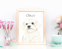 Personalized Maltese Fine Art Prints