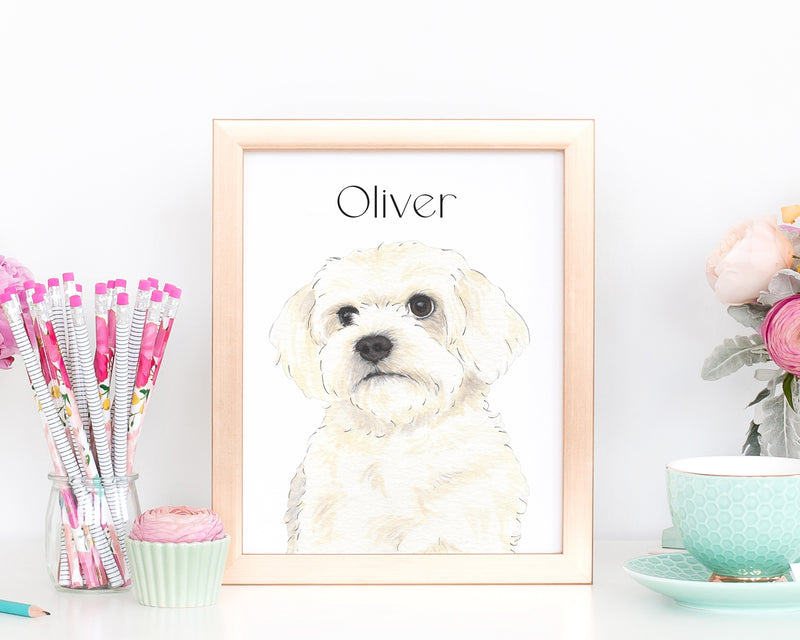 Personalized Maltese Fine Art Prints