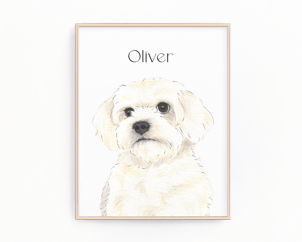 Personalized Maltese Fine Art Prints