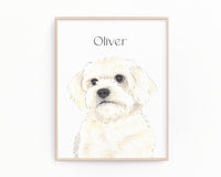 Personalized Maltese Fine Art Prints