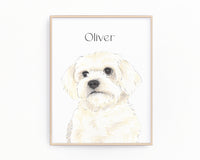 Personalized Maltese Fine Art Prints