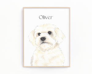 Personalized Maltese Fine Art Prints