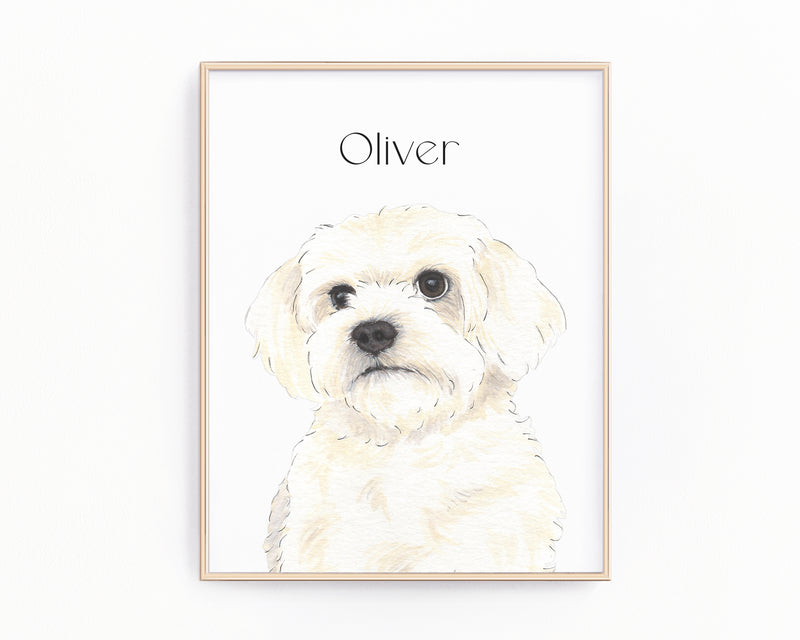 Personalized Maltese Fine Art Prints