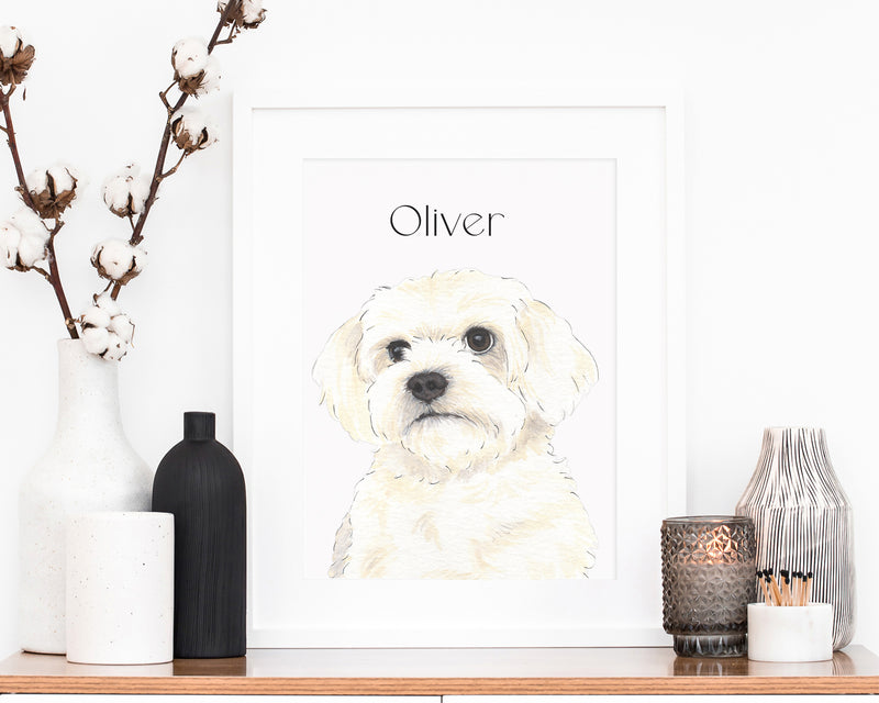 Personalized Maltese Fine Art Prints