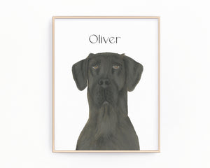 Personalized Great Dane (Black) Fine Art Prints