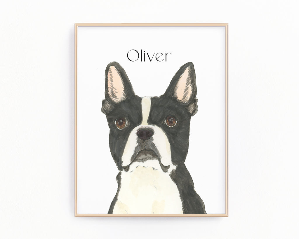 Personalized Boston Terrier Fine Art Prints