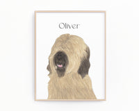 Personalized Briard Fine Art Prints