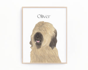 Personalized Briard Fine Art Prints