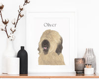 Personalized Briard Fine Art Prints
