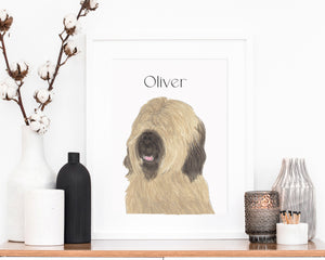 Personalized Briard Fine Art Prints