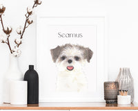 Personalized Shih Tzu (Brown & White) Fine Art Prints