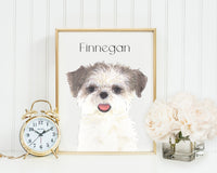 Personalized Shih Tzu (Brown & White) Fine Art Prints