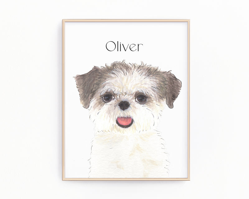 Personalized Shih Tzu (Brown & White) Fine Art Prints