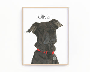 Personalized Cane Corso Fine Art Prints