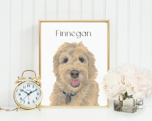 Personalized Golden Doodle (Apricot) Fine Art Prints