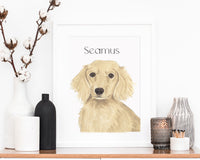 Personalized Dachshund (Cream, Long Haired) Fine Art Prints